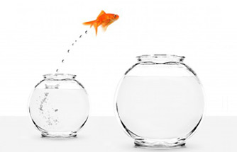 Employee turnover